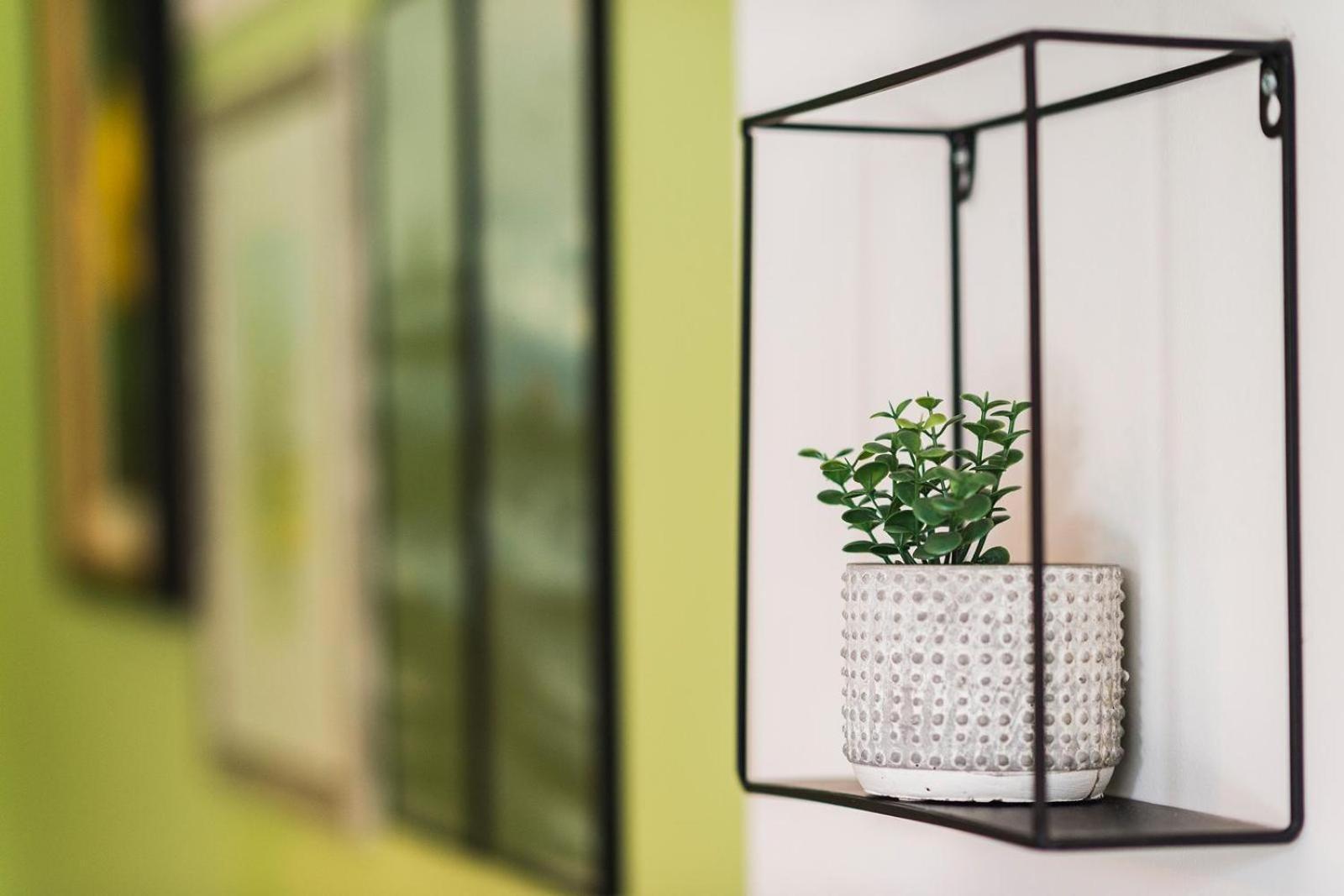 Maka Appartements - Omis Duće Quarto foto